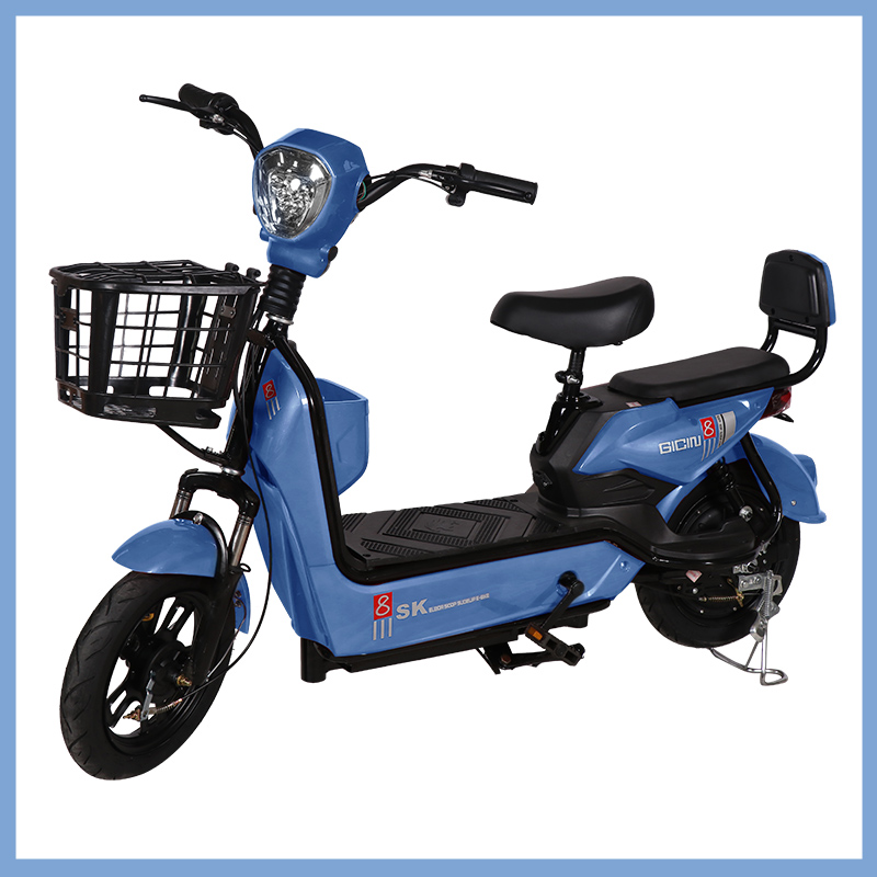 YTYIN Wholesale City Electric  - đánh giá và giá Carbon Bike Frame